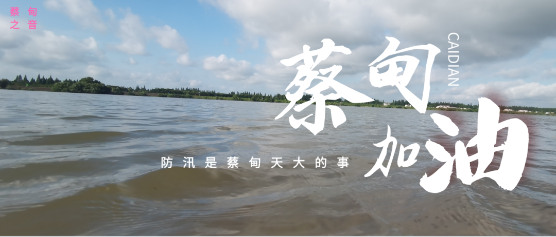 蔡甸區(qū)啟動(dòng)防汛ⅰ級(jí)應(yīng)急響應(yīng)，做好鋪土釘防汛木樁工作