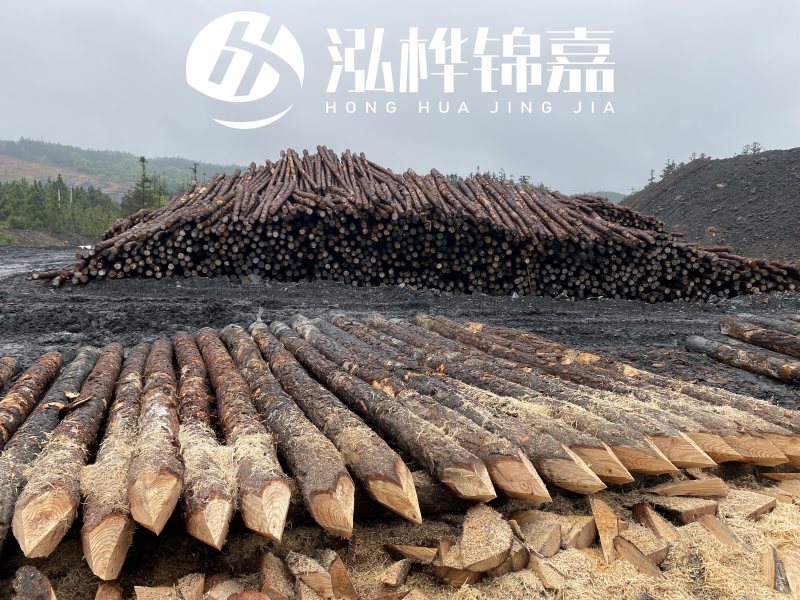 6米長松木樁有哪些作用，多少錢一根？