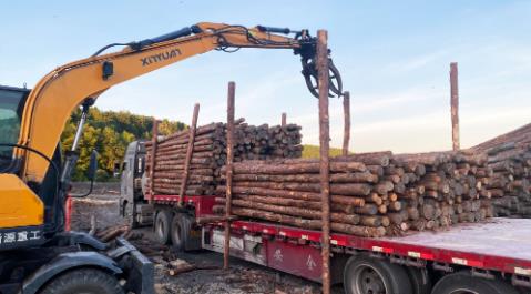 <a href=http://m.98066f.com/ target=_blank class=infotextkey>松木樁</a>現(xiàn)場(chǎng)選材與運(yùn)輸