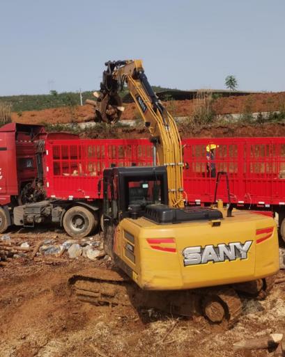 松木原木、松木條，漲勢如虹，現(xiàn)在搶購最劃算(附松木原木供應(yīng)廠家介紹)