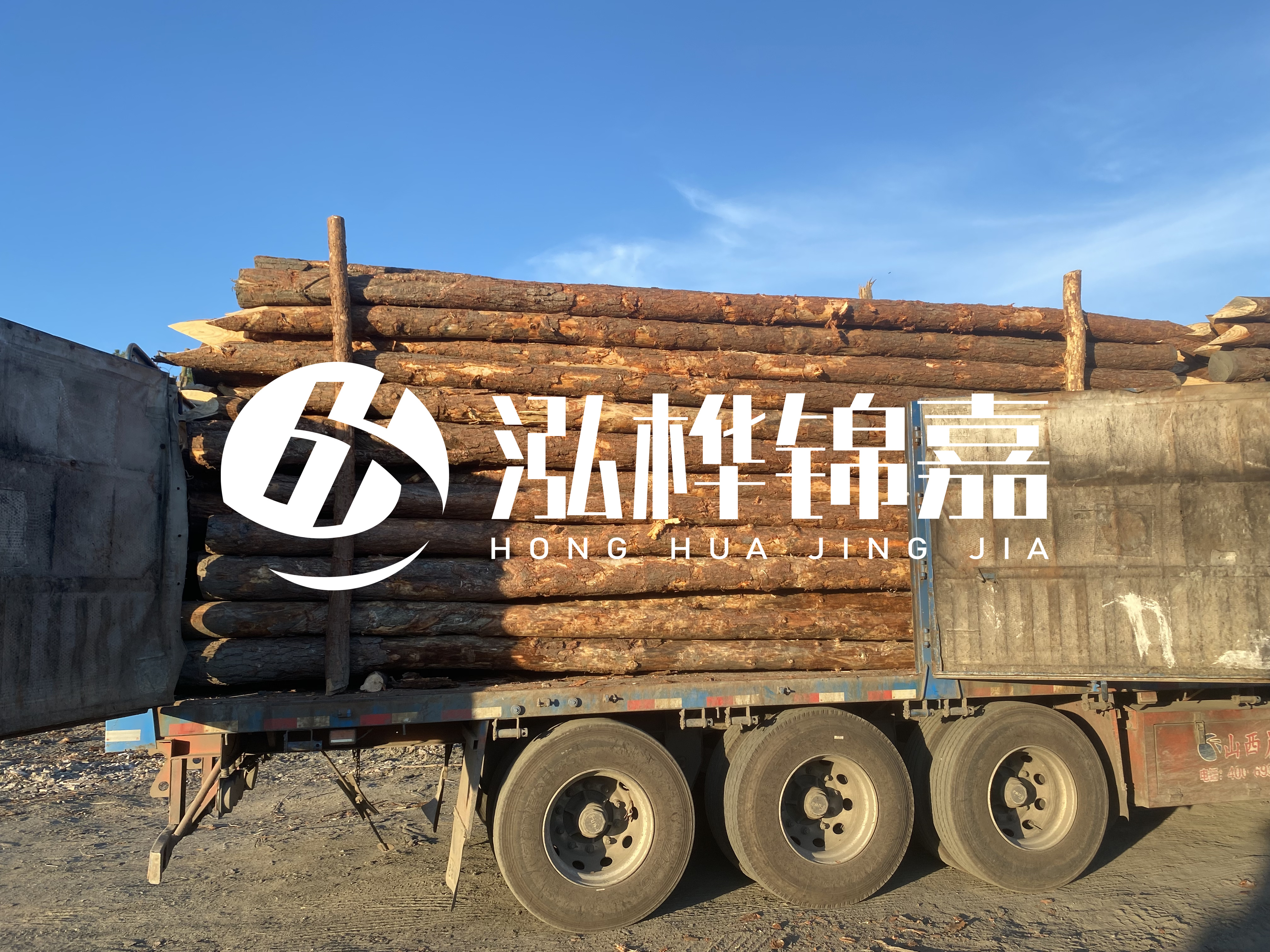 河道治理為什么要用松木樁？