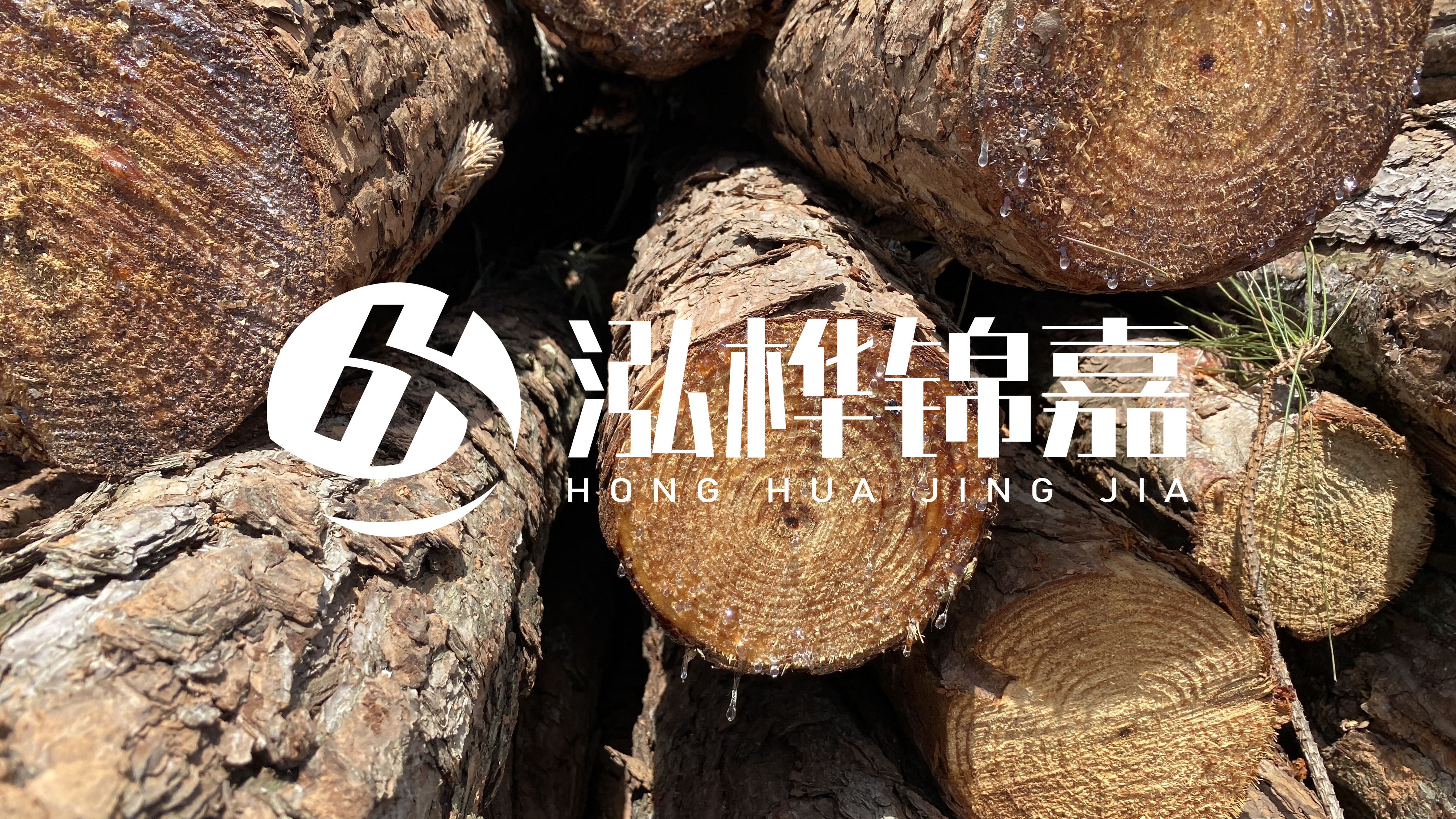 為什么要用松木樁治理河道？