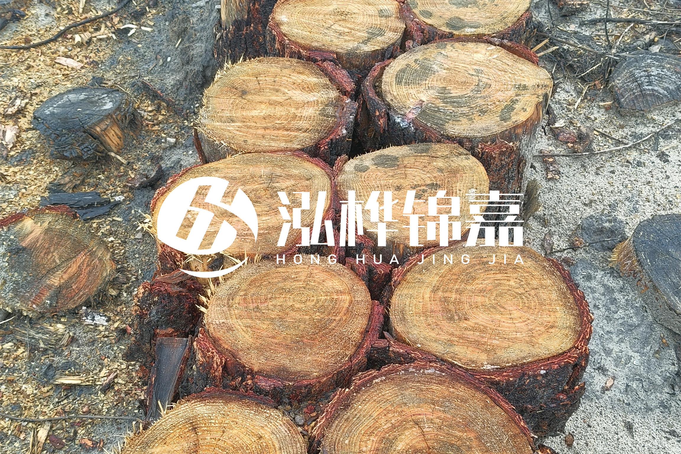 浙江臺州有清淤的公司嗎？浙江臺州有清淤施工隊(duì)嗎？