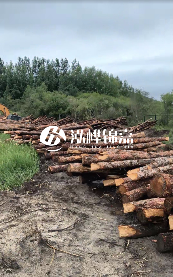 甘肅河道清淤工程公司-為什么要進行河道清淤？