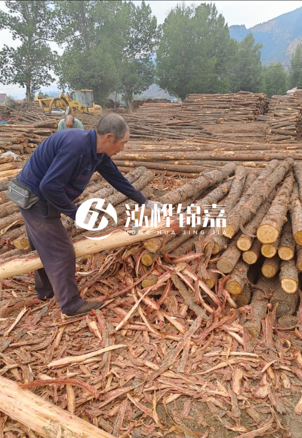 東營河道清淤專業(yè)施工隊(duì)-不同型號挖機(jī)清淤能力對比？