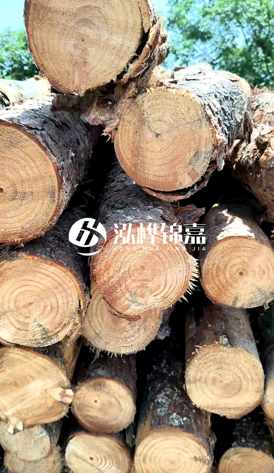 周口挖機(jī)打木樁專業(yè)施工-杉木樁施工打樁怎么打？