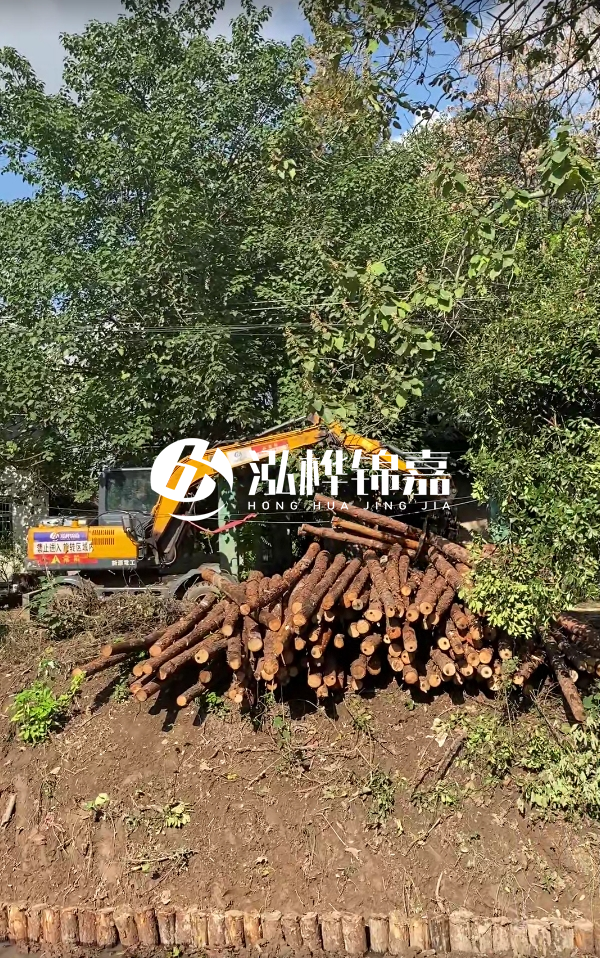 隨州松木樁源頭廠家-杉木樁打樁木的價格比松木樁貴嗎？