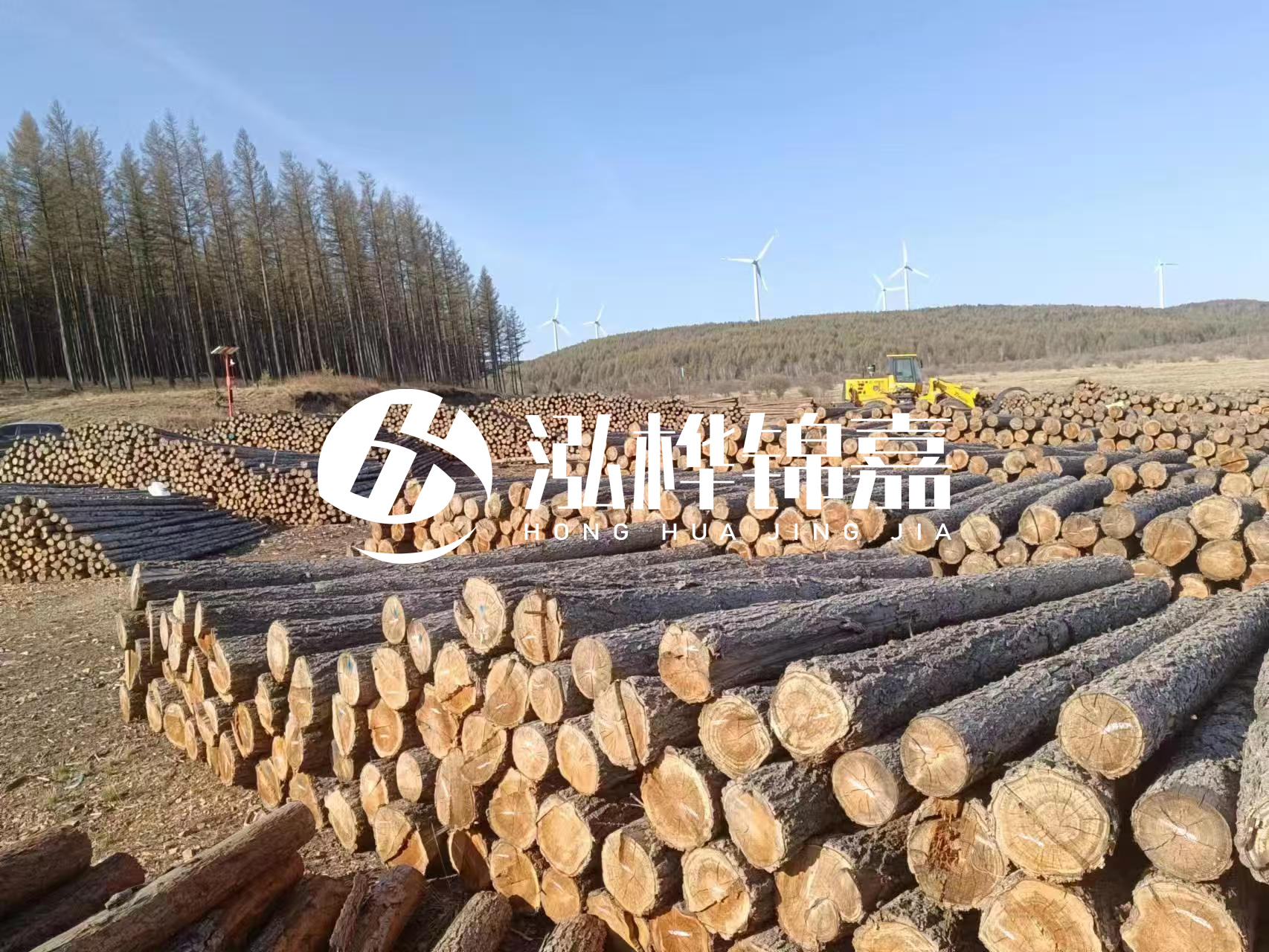 湘潭松木樁源頭廠家-松木樁與水泥樁的性價比對比如何？