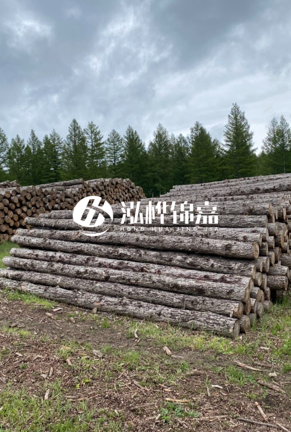 長沙松木樁源頭廠家-如何甄別松木樁打樁木的質量好壞？