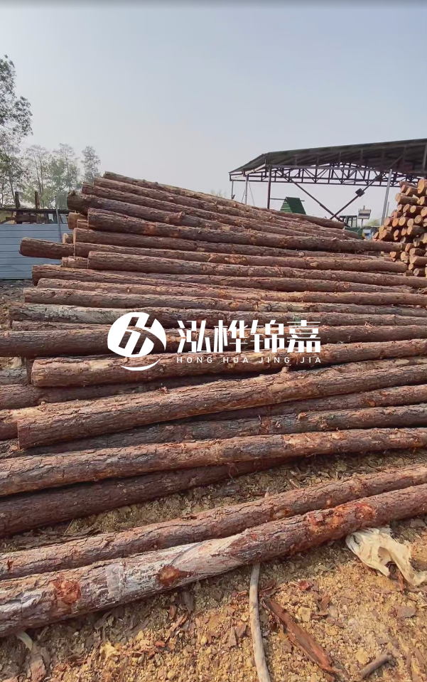 岳陽松木樁源頭廠家-河道木樁護岸能否抵御洪水沖擊？