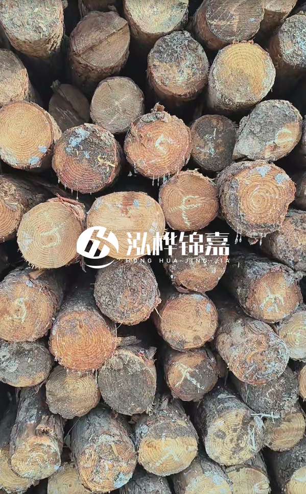 邵陽松木樁源頭廠家-松木樁護岸適合哪些地理環(huán)境？