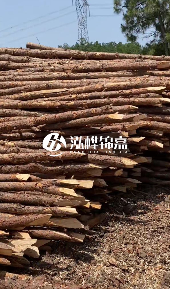 銅仁市挖機(jī)打木樁專業(yè)施工-河道松木樁水面需要預(yù)留多少？