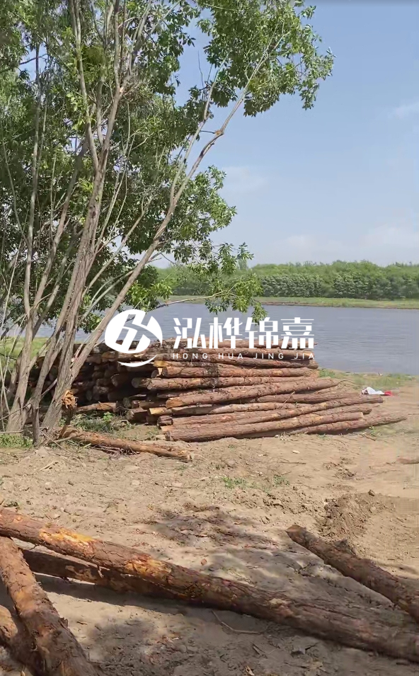 慶陽挖機(jī)打木樁專業(yè)施工-松木打樁過程中如何避免木材開裂？