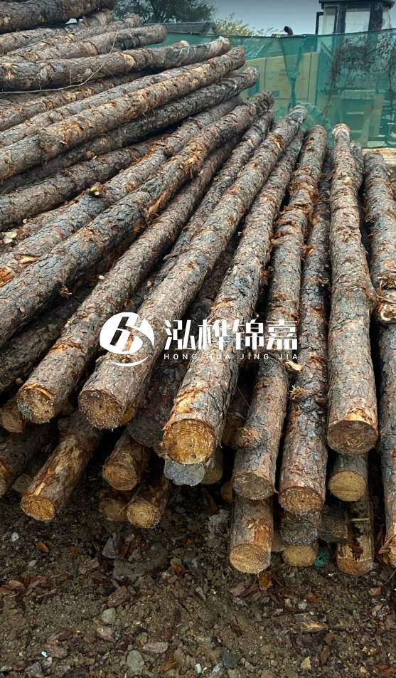 徐州松木樁批發(fā)源頭廠家-松木樁需要做防腐嗎？