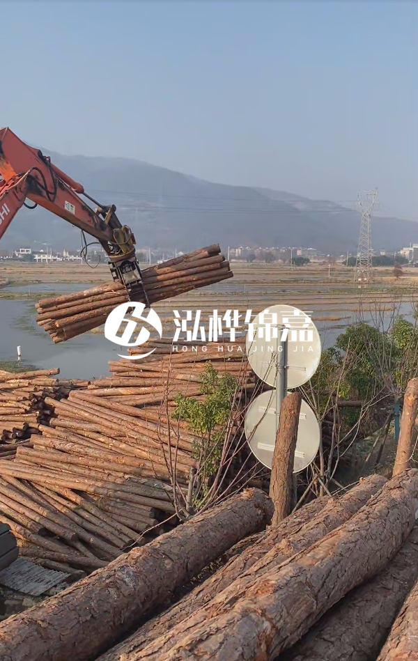 松木樁是否需要削皮呢？松木樁為什么不會爛掉呢？