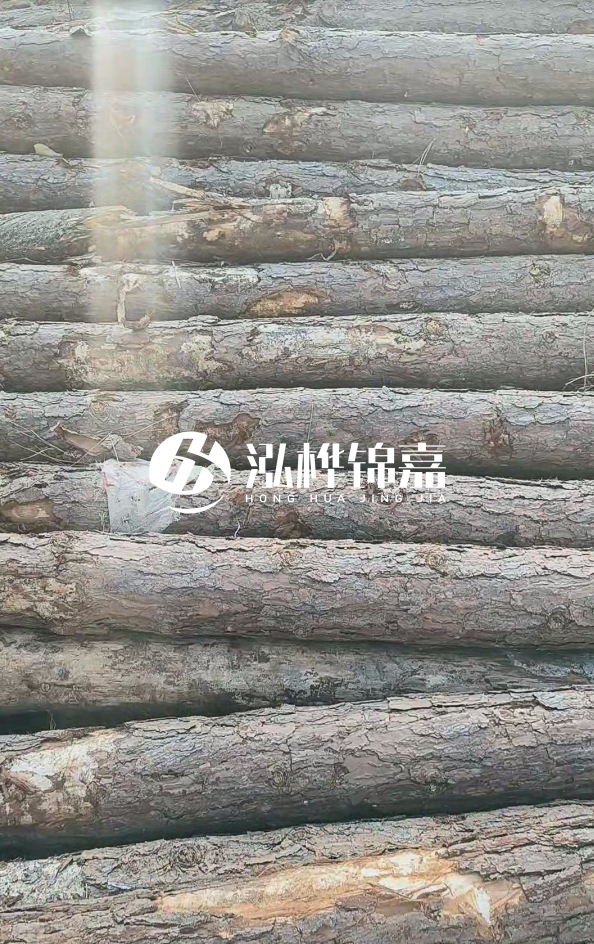 松木樁5米100mm一根多少錢-5米140mm多少錢？