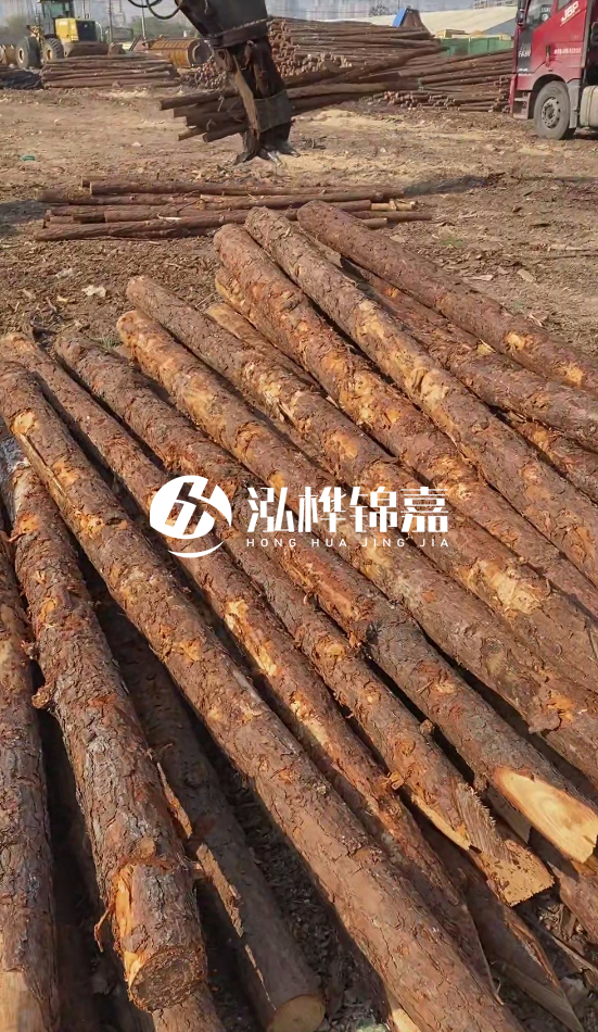 7米松木樁8一12公分價(jià)格？直徑15公分松木樁多少錢？