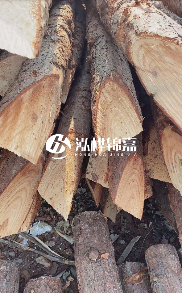 3米杉木樁梢頭12大頭多少？賣多少錢一根？