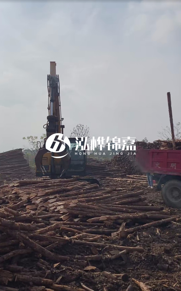 6米打樁木多少錢(qián)一根-6米10-15公分價(jià)格是多少？