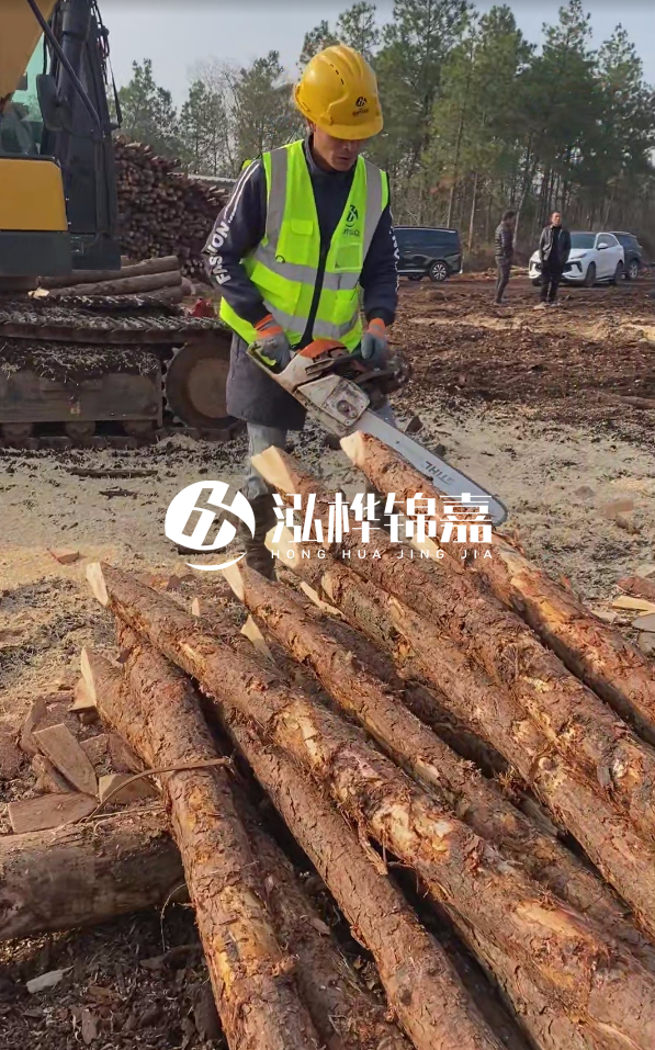 松木樁樁長(zhǎng)1.5米稍徑12多少錢(qián)一根？樁長(zhǎng)1.5米稍徑12大頭多少？