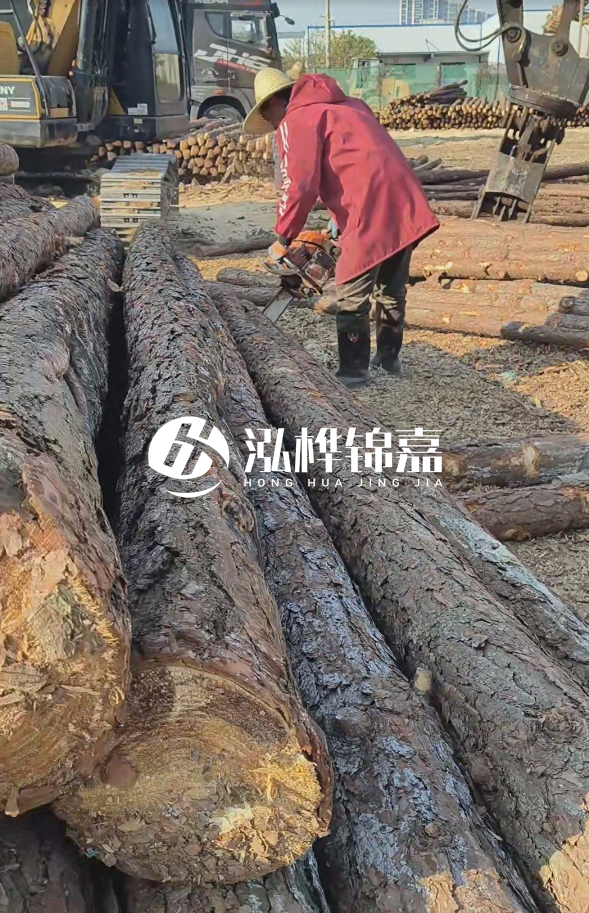 長(zhǎng)沙打樁木批發(fā)廠家在哪里？聯(lián)系方式是什么？