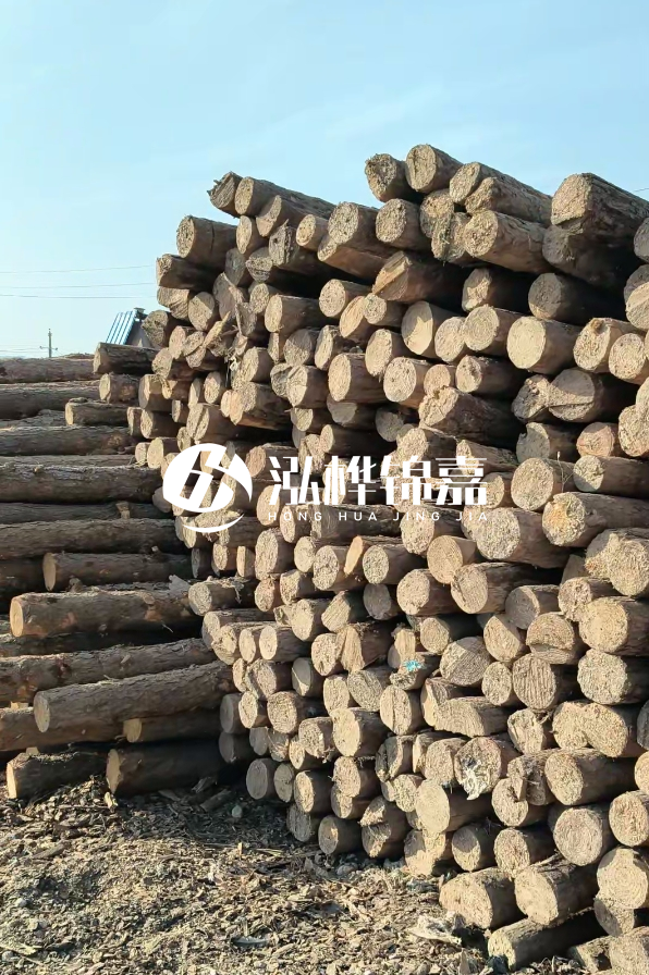 江西哪里有松木樁賣(mài)-4米12-14公分松木樁價(jià)格揭秘！
