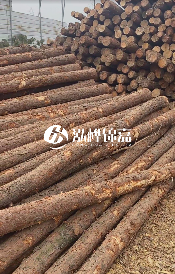 山西河道木樁護(hù)岸價(jià)格多少錢一米-每米河道打樁要花多少錢？