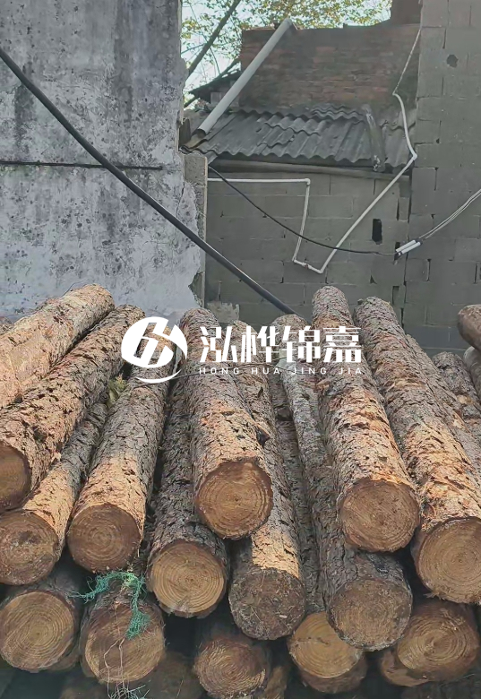 1.5米至2米長(zhǎng)松木樁價(jià)格表-10-12公分大概多少錢一根？