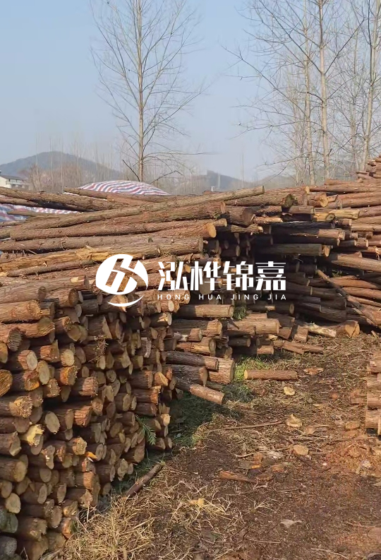 打杉木樁多少錢一根-一天能打多少根？