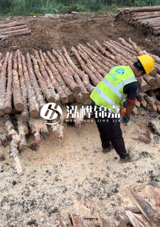 江蘇打樁木源頭廠家泓樺錦嘉-2.5米大頭10CM多少錢一根？