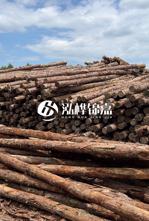 福建松木樁源頭廠家泓樺錦嘉-4.5米松木樁大頭15CM多少錢？