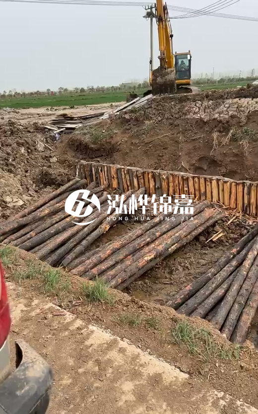 4米直徑12-13油松批發(fā)價最低多少？報價含稅含運嗎？