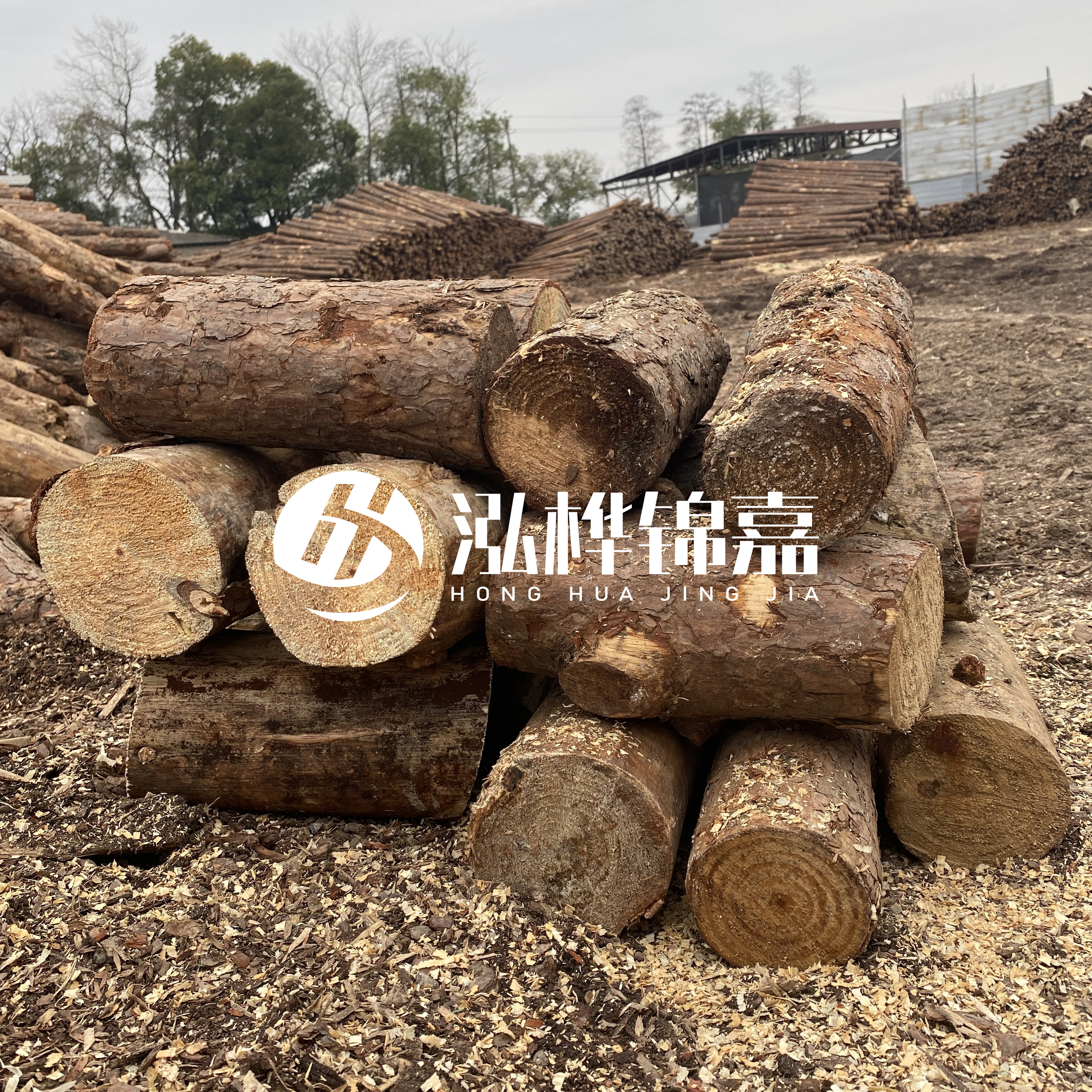 打樁木邊角料能做什么用途？怎么賣的？