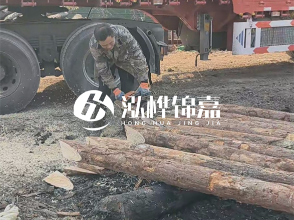 松木圓木價(jià)格大概多少一方-松木樁廠家按方可以賣嗎？