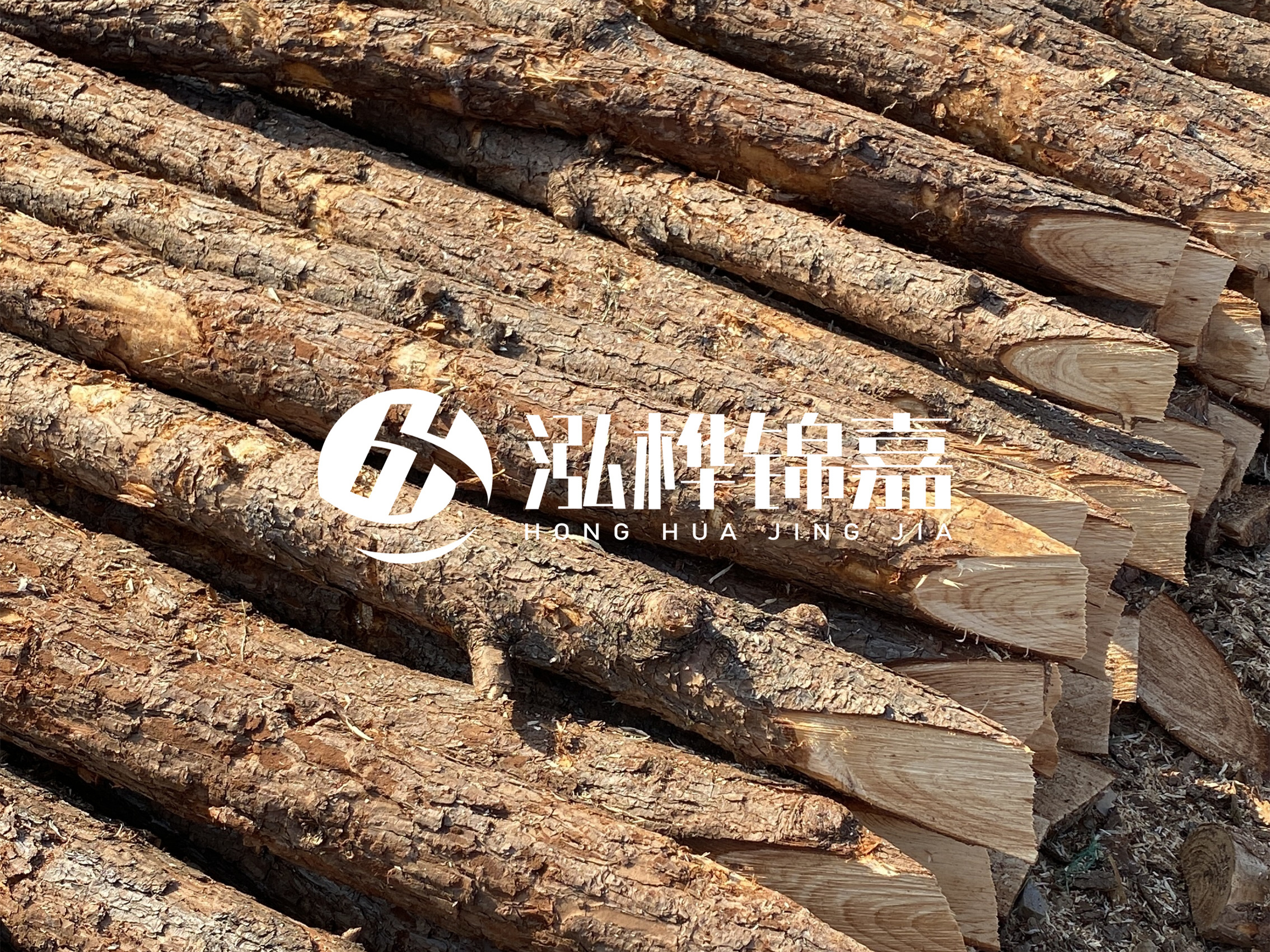 8 米超大直徑松木樁的價(jià)格是多少？帶皮和去皮松木樁價(jià)格差多少？