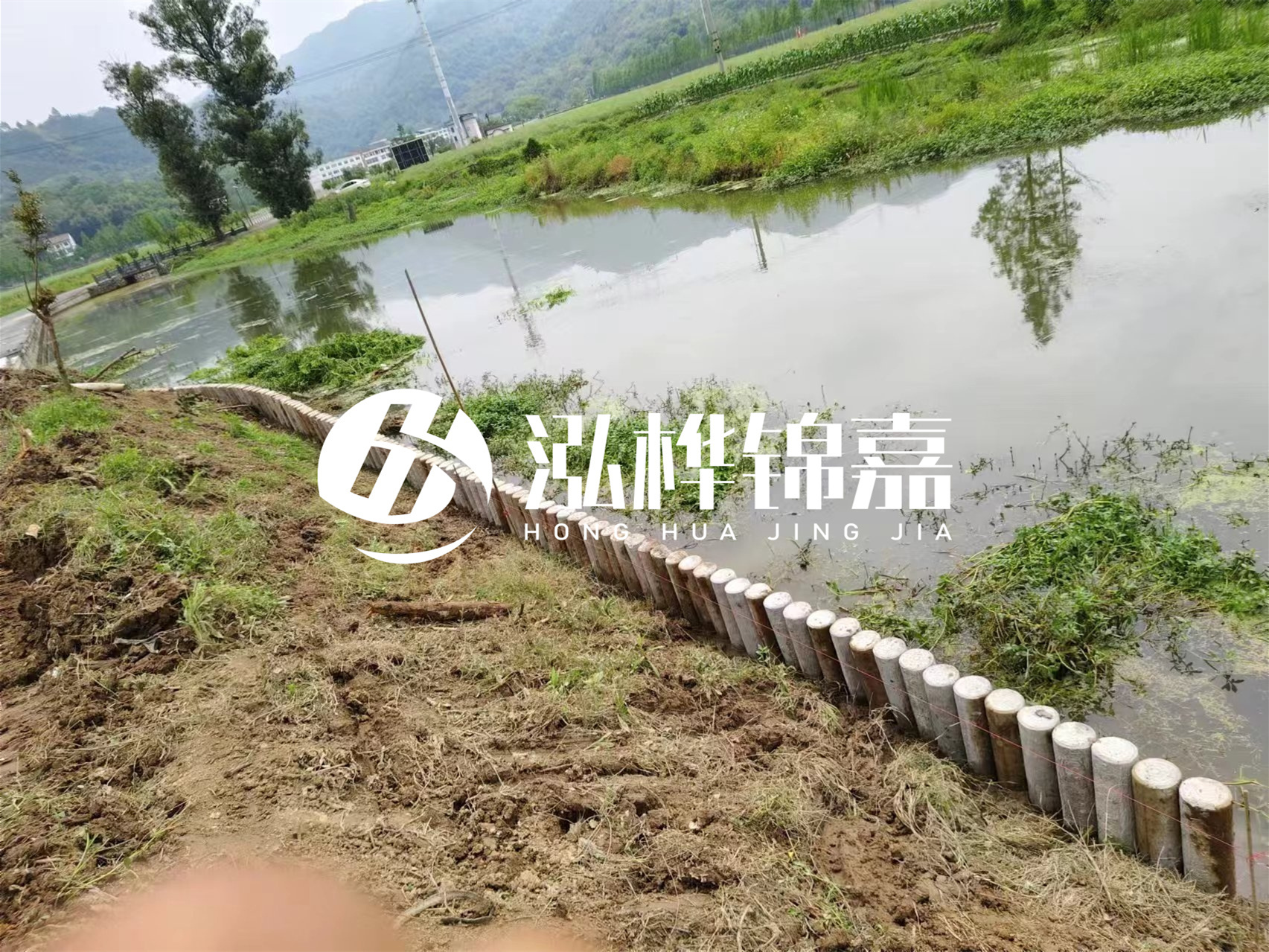 松木樁加固河道與水泥樁對(duì)比如何？哪一種更加適合您？