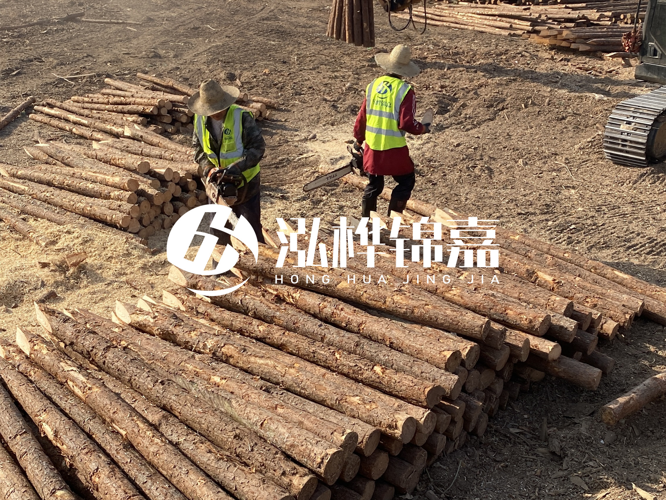 河道木樁報價在汛期前后會有波動嗎？什么時候買最便宜？