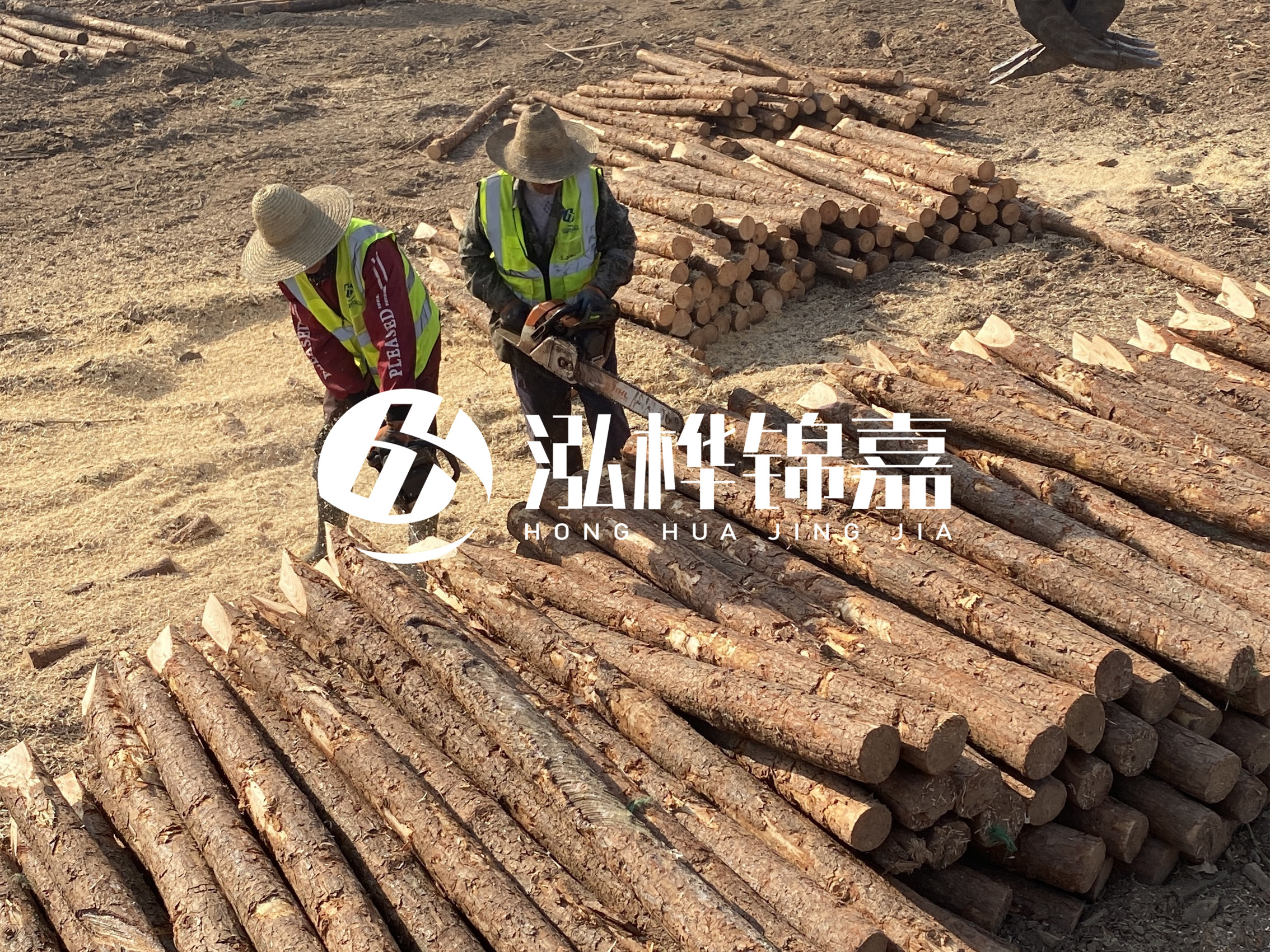 河北打樁木廠家主要生產(chǎn)哪些材質(zhì)的打樁木？產(chǎn)品有哪些規(guī)格？