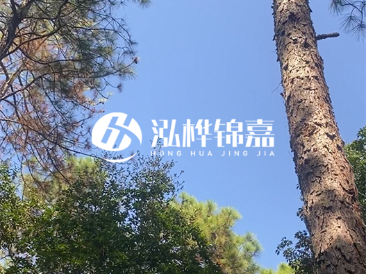 松木樁廠家的供貨能力強(qiáng)不強(qiáng)-怎么才能聯(lián)系到松木樁廠家？