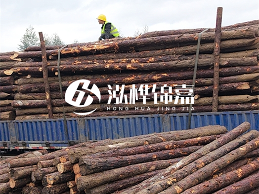 2 米大頭 12 公分松木樁價格 - 2 米大頭 14 公分松木樁多少錢一根？