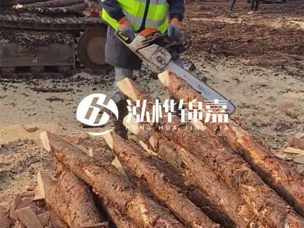 松木樁河道護(hù)坡怎么施工？打樁多少錢一根？
