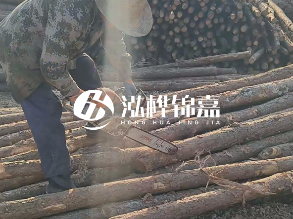 廣東打樁木源頭廠家泓樺錦嘉 - 如何選擇適合特定邊坡的松木樁？