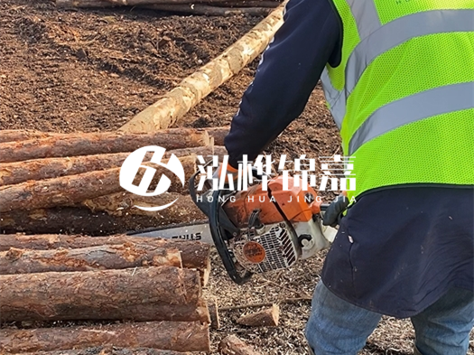 河道打木樁多少錢一根？5米直徑10松木樁打樁多少錢？