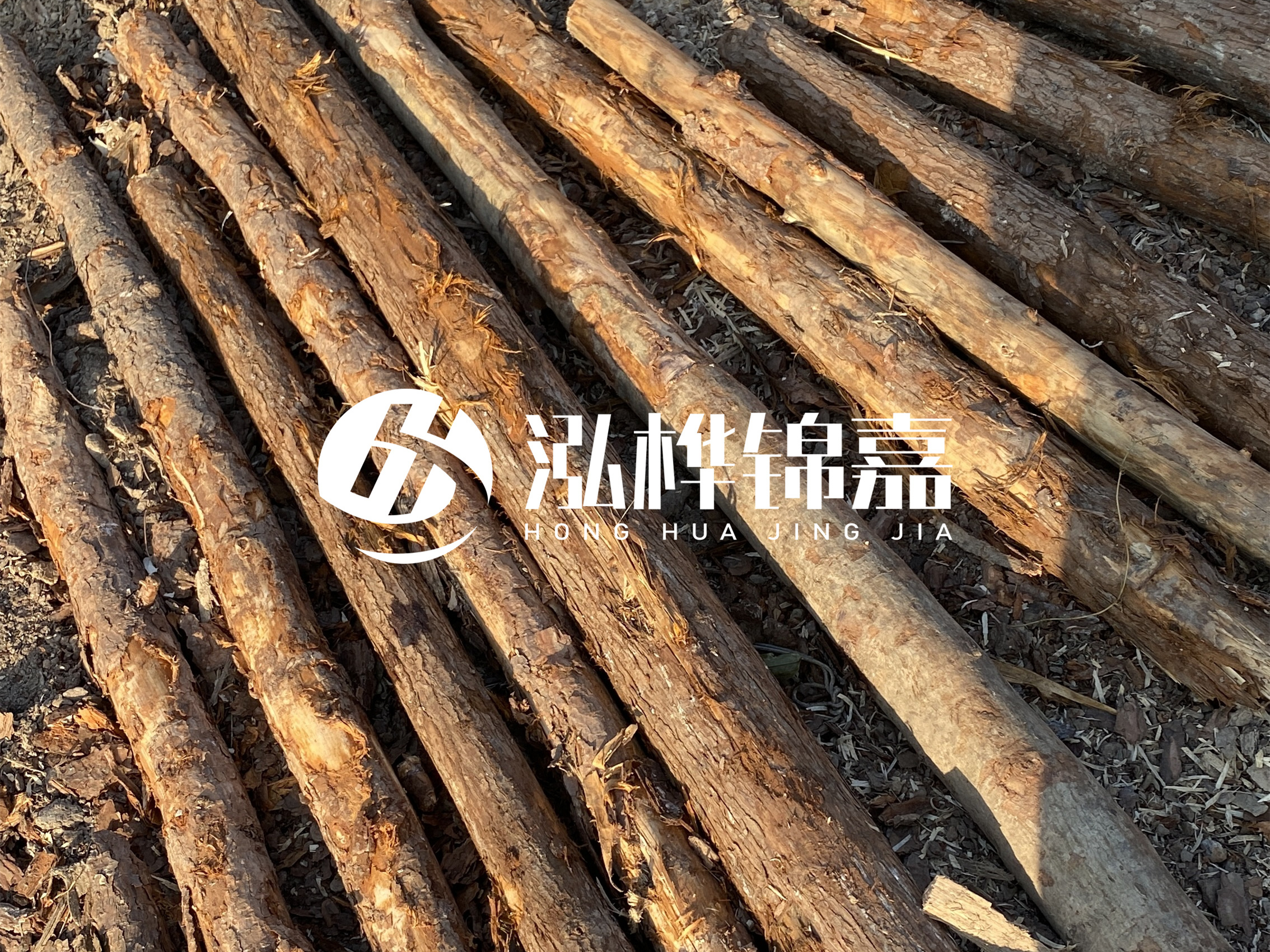 河道木樁多少錢一根？河道木樁的使用以及保養(yǎng)方法?