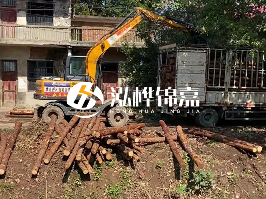 怎么把松木樁打到土里？松木樁要打進去多深？