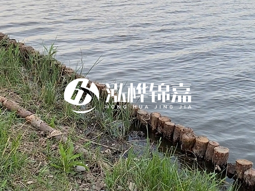 防洪松木樁施工重要性？河道打木樁的位置怎么確定？