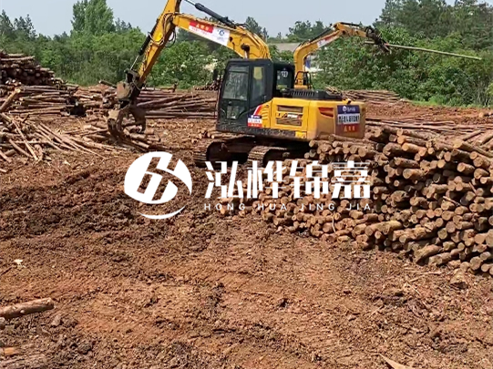 河道松木樁廠家聯系方式-6米10-15公分價格是多少？