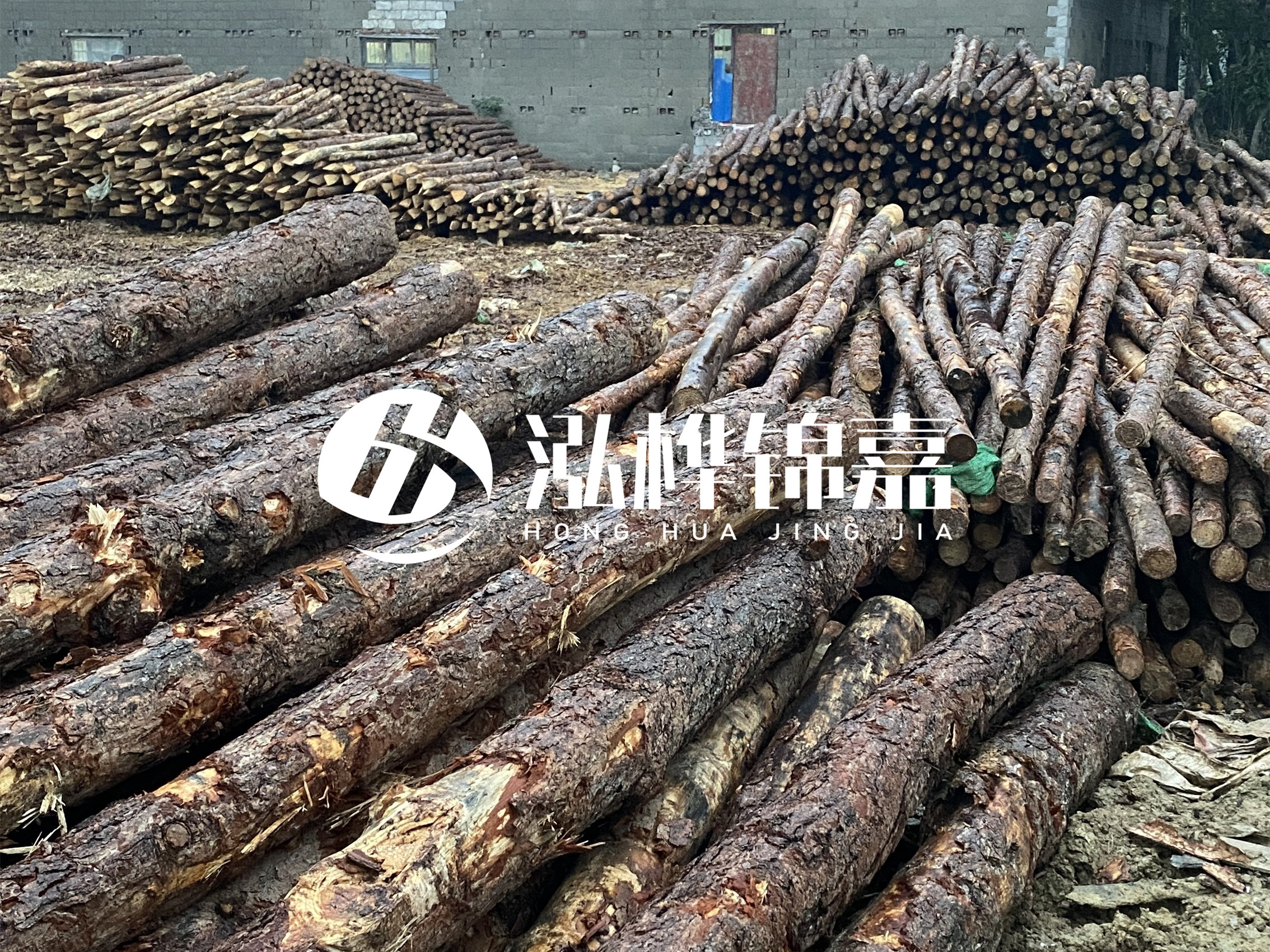 松木樁批發(fā)廠家泓樺錦嘉 - 河道松木樁如何選擇優(yōu)質(zhì)木材？