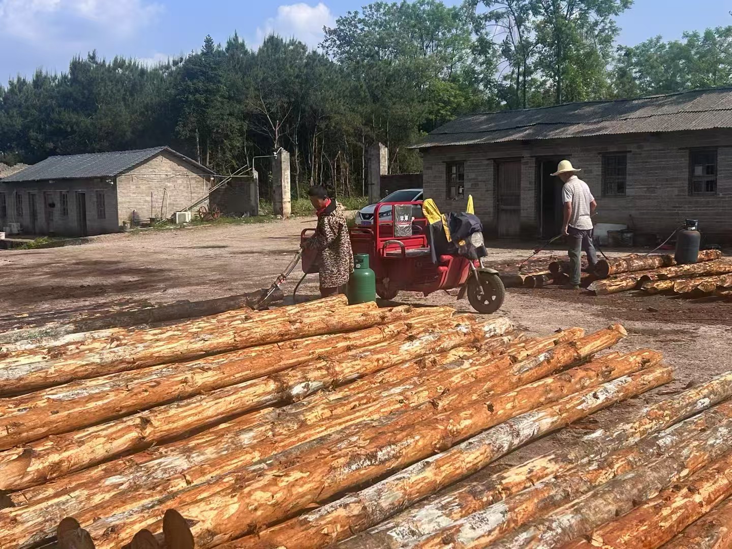 松木樁批發(fā)廠家泓樺錦嘉-圍堰松木樁為什么要交錯排列？