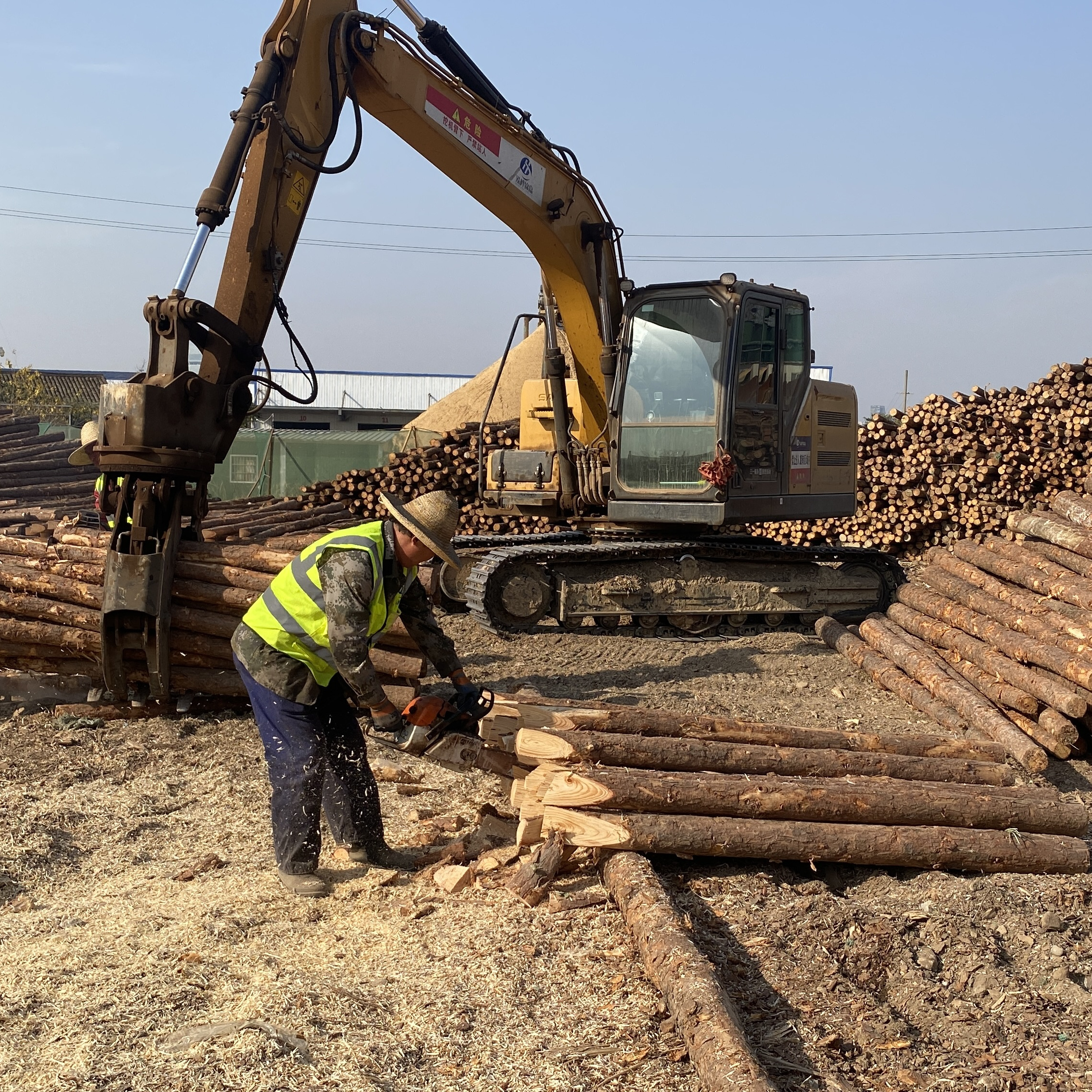 松木樁廠家泓樺錦嘉-工程打樁木選擇落葉松還是濕地松更耐腐蝕？